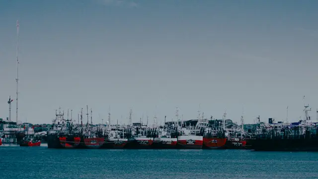 Argentina logra un récord histórico de exportaciones en mayo impulsando la economía