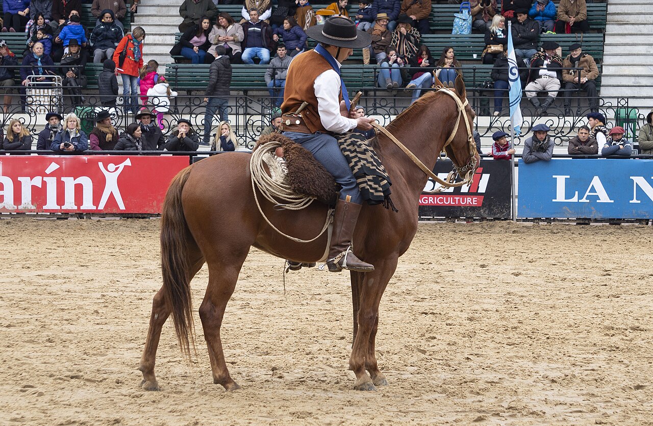 Un jinete a caballo participa en una exhibición tradicional dentro del predio de La Rural.