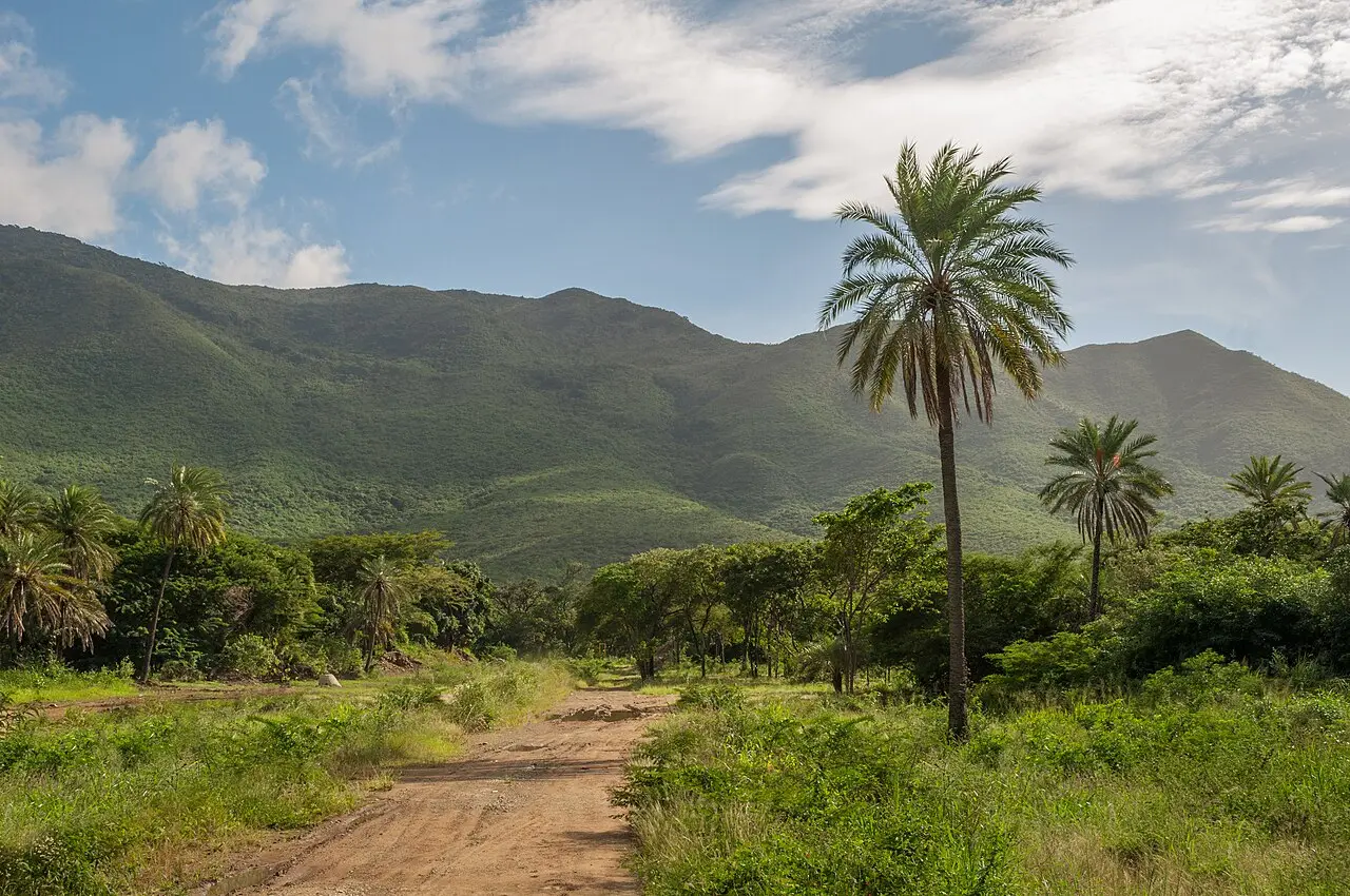 Paisaje natural con un camino de tierra rodeado de vegetación y montañas en el horizonte.